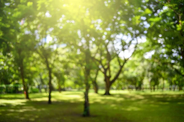 Suddig Blackground Tropiska Blad Abstrakta Gröna Blad Struktur Natur Bakgrund — Stockfoto