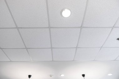 Floresan lamba modern tavan