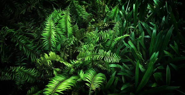 Abstracto Impresionante Textura Hoja Verde Follaje Hoja Tropical Naturaleza Fondo — Foto de Stock