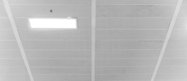 Floresan lamba modern tavan