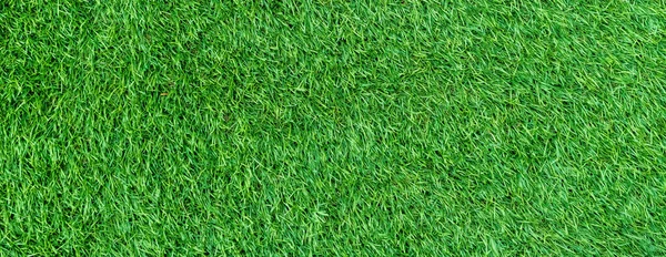Panorama Green Artificial Turf Flooring Texture Background Seamless — ストック写真