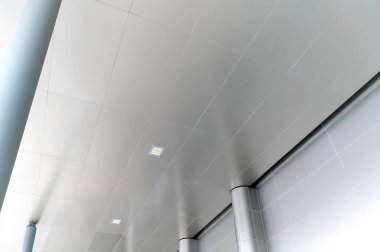 Floresan lamba modern tavan