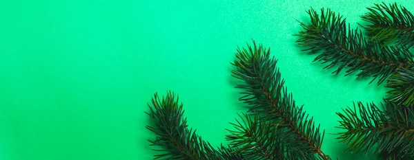 クリスマスツリーの枝 クリスマス 自然の概念 バナーだ フラットレイ 緑の背景の上のビュー — ストック写真