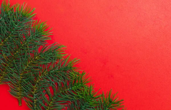 クリスマスツリーの枝 クリスマス 自然の概念 バナーだ フラットレイ 赤い背景の上のビュー — ストック写真