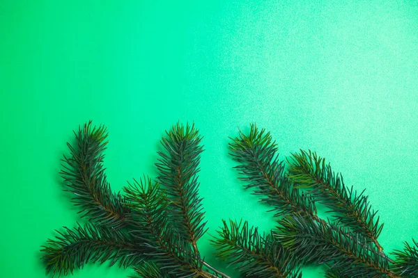 クリスマスツリーの枝 クリスマス 自然の概念 バナーだ フラットレイ 緑の背景の上のビュー — ストック写真