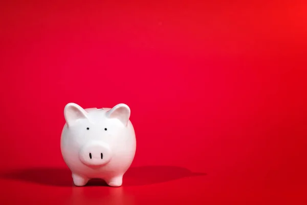 Composition with piggy bank isolated on red background. Space for text