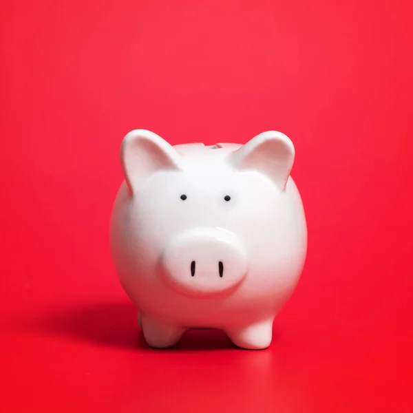 Composition with piggy bank isolated on red background. Space for text