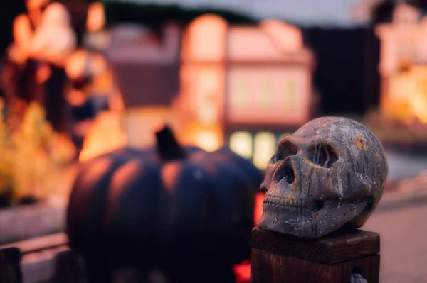 Halloween Decoração Com Abóboras Crânios — Fotografia de Stock