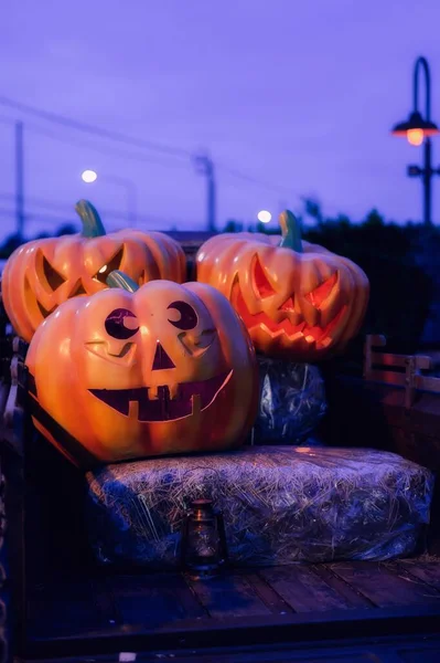 Decorazione Halloween Con Zucche Teschi — Foto Stock