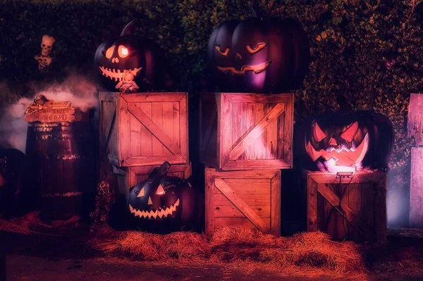 Decoración Halloween Con Calabazas Calaveras — Foto de Stock