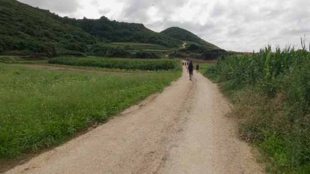 Grupo de excursionistas en la hermosa carretera en verdes colinas de hierba en un día nublado. Paisaje rural idílico. Prados verdes, árboles y montañas. Nubes blancas en el cielo azul. Senderismo. Camino de Santiago. — Vídeos de Stock