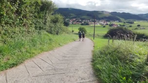 Groep wandelaars op de prachtige weg in groene grasheuvels op een bewolkte dag. Idyllisch landschap. Groene weiden, bomen en bergen. Witte wolken in de blauwe lucht. Wandelen. Camino de Santiago. — Stockvideo