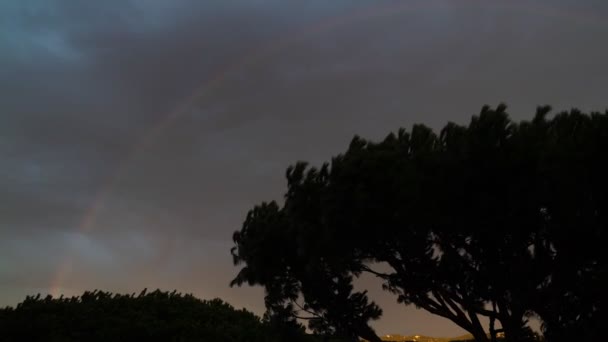 Silhouettes of pine trees on the background of the sunset sky. A strong wind shakes the crowns of trees. Rainbow after the rain. Beautiful view at dusk. — Stock videók