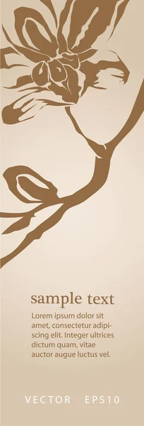 çiçek orkide arka plan