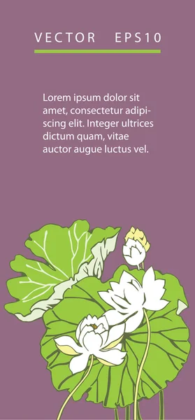 Lotus çiçekleri, arka plan