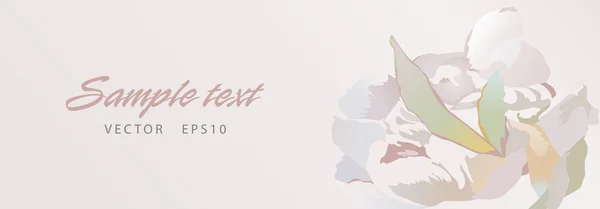 üflemeli Şakayık, arka plan