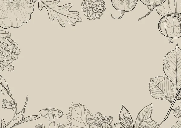 Podzimní Rám Dýní Hub Listí Bobulí Šedém Pozadí Obrysová Kresba — Stock fotografie