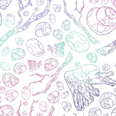 Denizci desenli. Gradyan kontur çizimi. Beyaz arka planda farklı deniz kabukları ve dallar.