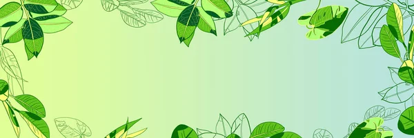 Banner Primavera Com Folhas Verdes Fundo Gradiente Espaço Cópia Quadro — Fotografia de Stock