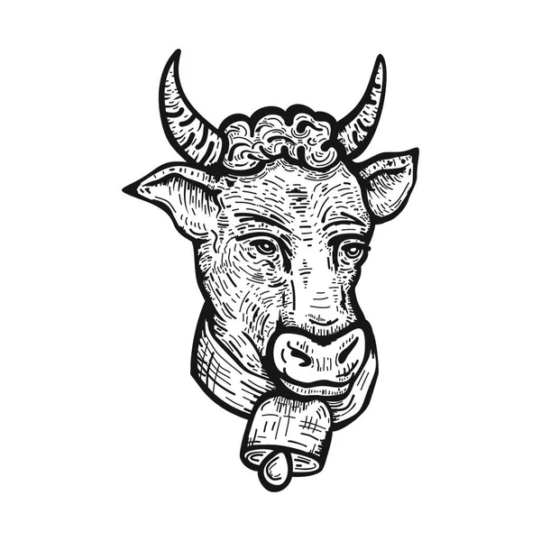 Het Hoofd Van Een Koe Stier Handgetekend Grafische Stijl Vintage — Stockvector