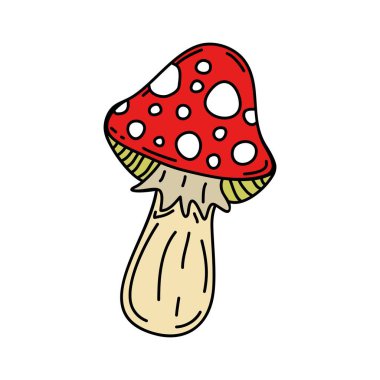 Amanita mantarı beyaz arka planda izole edilmiş, kırmızı benekli, orman zehirli mantarlı. Vektör illüstrasyonu.