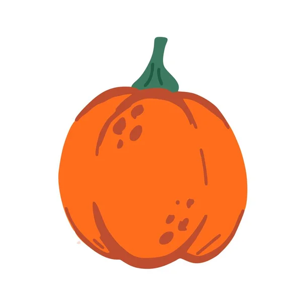 Ritad Illustration Pumpkin Vector — Stock vektor