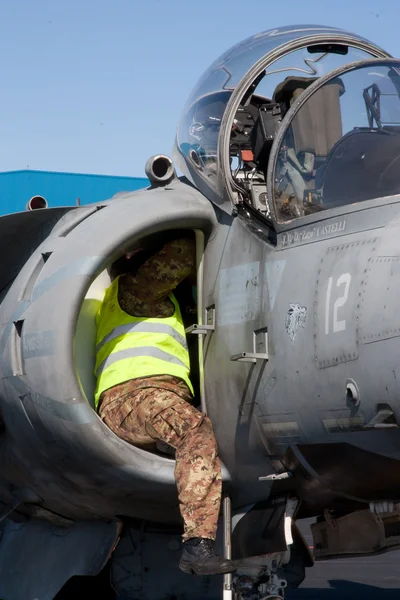 İtalyan harrier