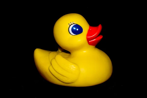 Plastik ördek — Stok fotoğraf