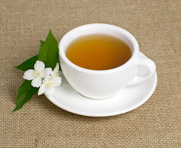 Jasmine tea — Stock Photo, Image