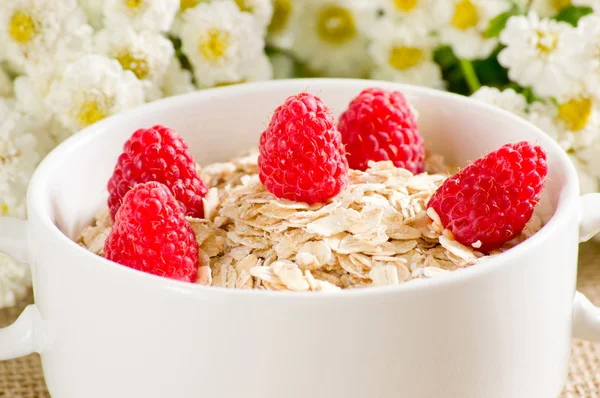 Oatmeal with raspberries — Stock Photo, Image