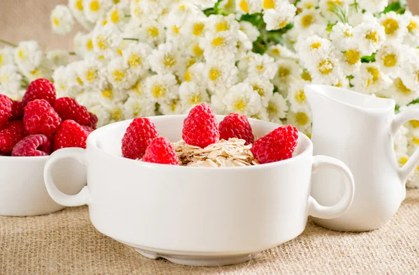 Oatmeal with raspberries Royalty Free Stock Images