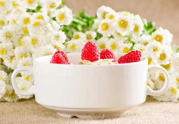 Oatmeal with raspberries Stock Picture