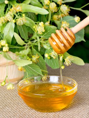 ıhlamur bal ve ıhlamur çayı