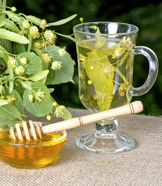 Miód lipy i herbata z lipy — Zdjęcie stockowe