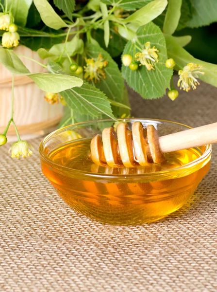 シナノキの蜂蜜とリンデン茶 — ストック写真