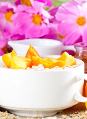 kase, yulaf ezmesi ve süt kabı içinde kayısı