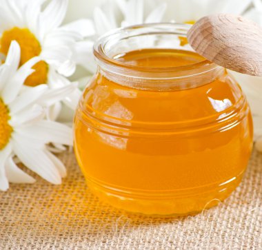 Bal ve papatya ile kase