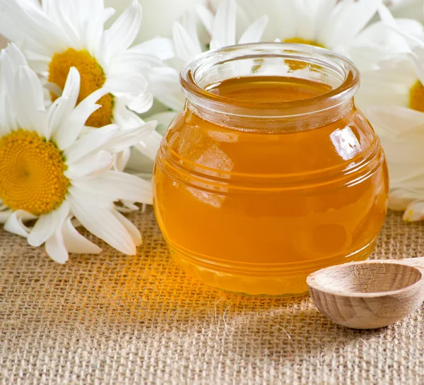 Tigela com mel e margaridas — Fotografia de Stock
