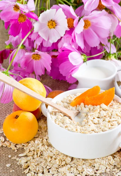 Oatmeal with apricot in the bowl — Stock Photo, Image