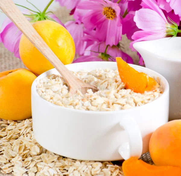 Oatmeal with apricot in the bowl — Stock Photo, Image