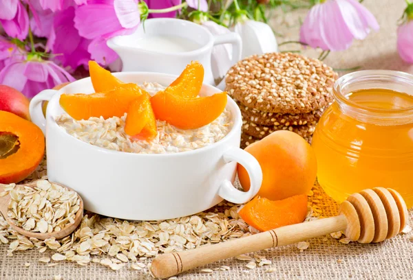 Harina de avena con albaricoque en el bowl — Foto de Stock