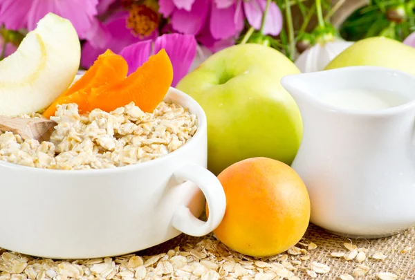 Harina de avena con albaricoque y manzana — Foto de Stock