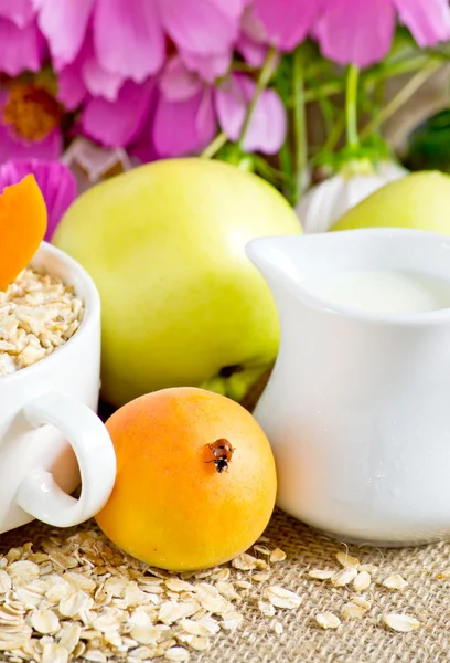 Harina de avena con albaricoque y manzana — Foto de Stock