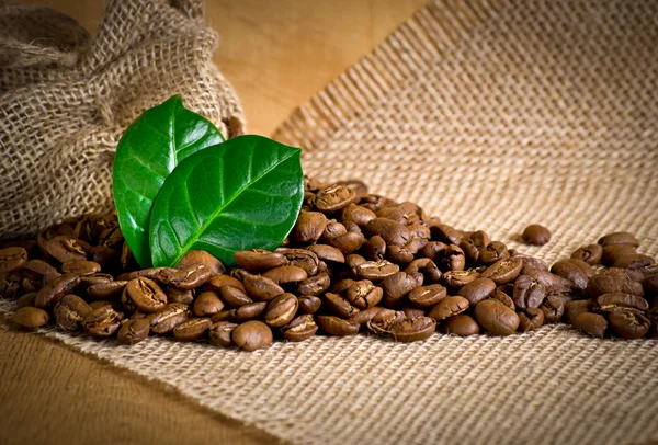 Coffee grains on sackcloth — Stock Photo, Image