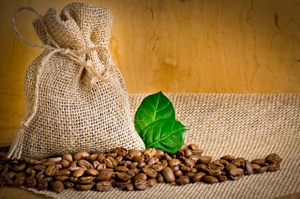 Coffee grains on sackcloth — Stock Photo, Image