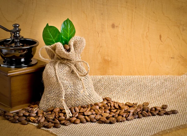 Grãos de café com saco — Fotografia de Stock