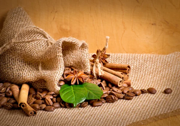 향신료와 커피 곡물 — 스톡 사진
