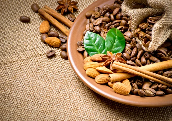 Coffee beans in ceramic plate with spices — Stock Photo, Image