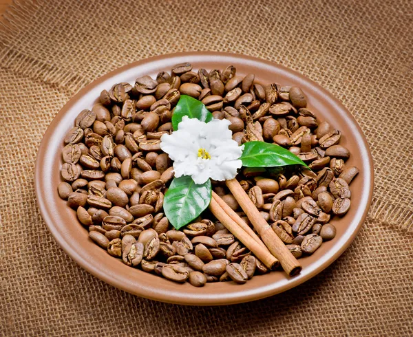 Coffee beans in ceramic plate with flower — Stock Photo, Image