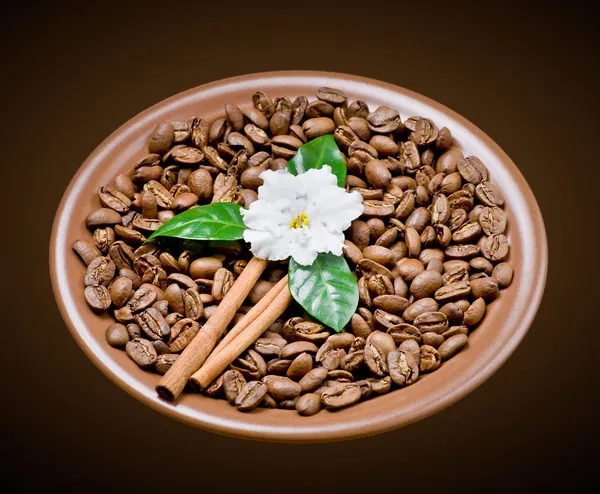 Kopi kacang di piring keramik dengan bunga — Stok Foto